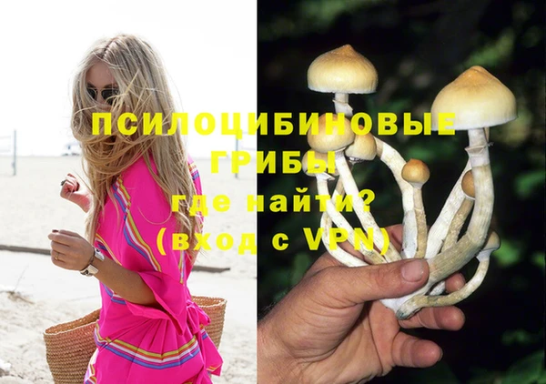 гидра Белокуриха
