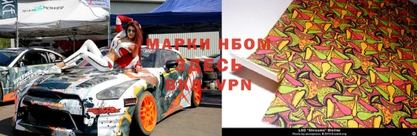 гидра Белокуриха