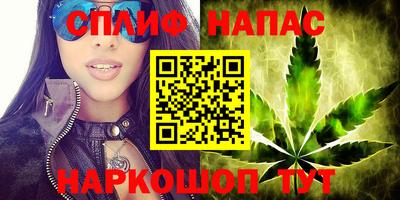 гидра Апрелевка