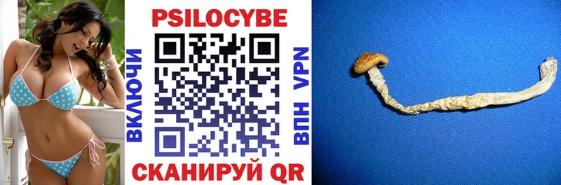 Псилоцибиновые грибы Psilocybine cubensis  mega как зайти  Беслан 