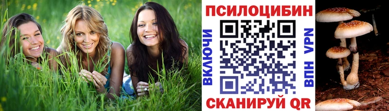 Галлюциногенные грибы GOLDEN TEACHER Беслан