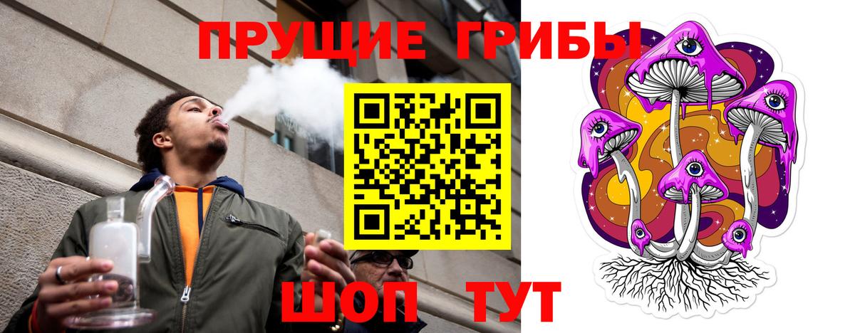 Галлюциногенные грибы Psilocybine cubensis Беслан