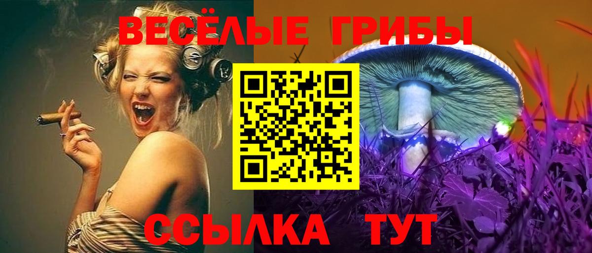 где найти наркотики  Вход с VPN  Псилоцибиновые грибы мухоморы  Беслан  Галлюциногенные грибы Psilocybine cubensis 