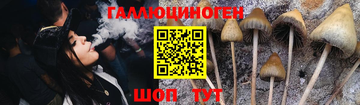 Галлюциногенные грибы ЛСД  Беслан 